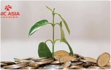 Deprived Sector Loans